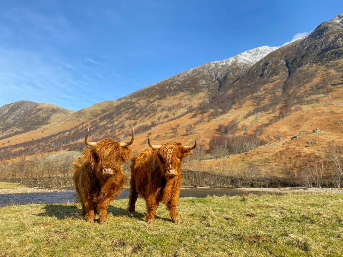 Glen Nevis Holidays Форт-Уильям Экстерьер фото