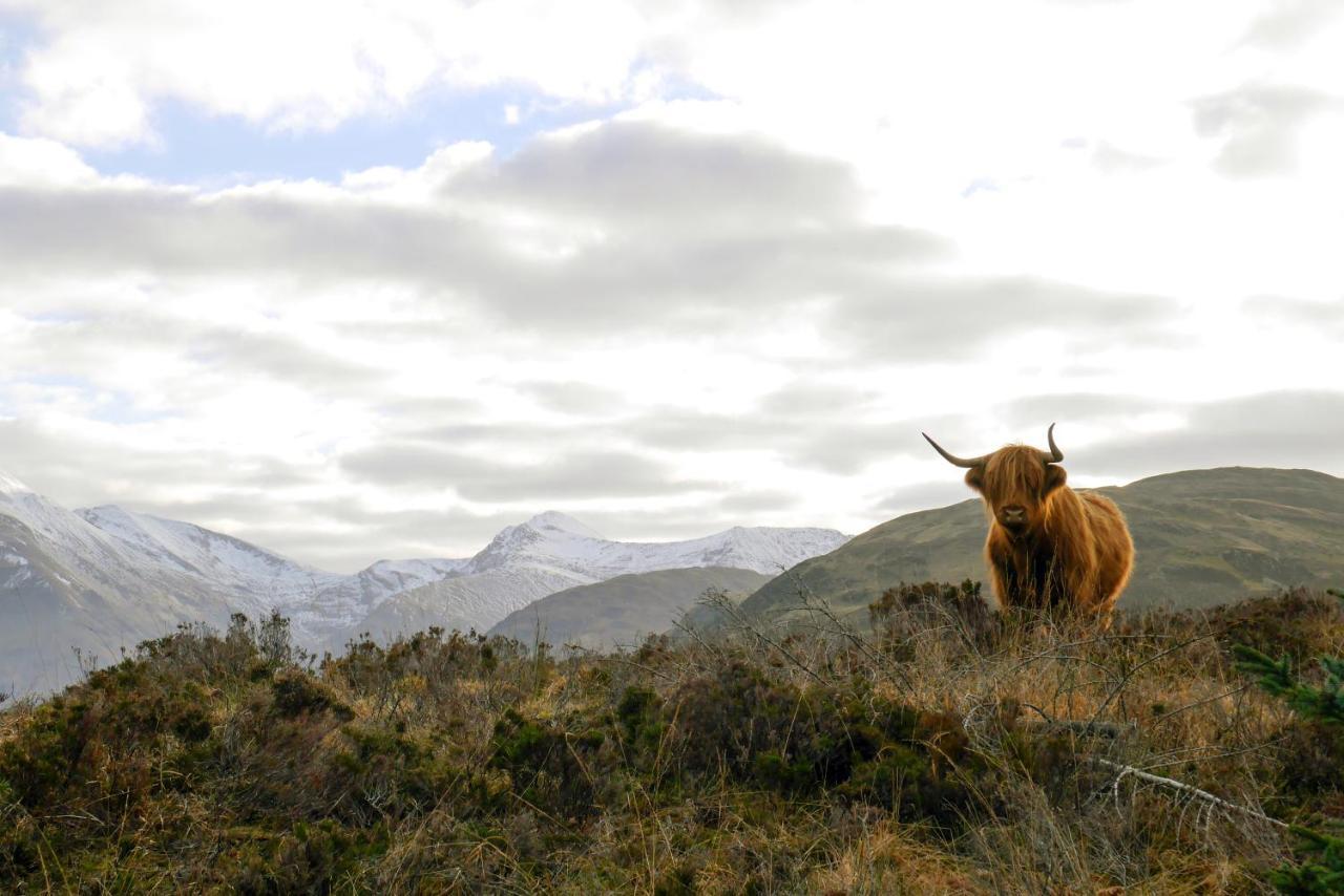 Glen Nevis Holidays Форт-Уильям Экстерьер фото