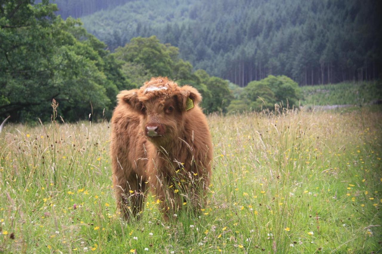 Glen Nevis Holidays Форт-Уильям Экстерьер фото