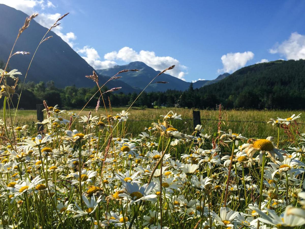 Glen Nevis Holidays Форт-Уильям Экстерьер фото